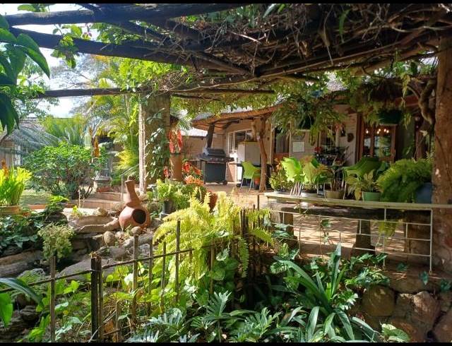 FARM FOR SALE IN LOUIS TRICHARDT RURAL